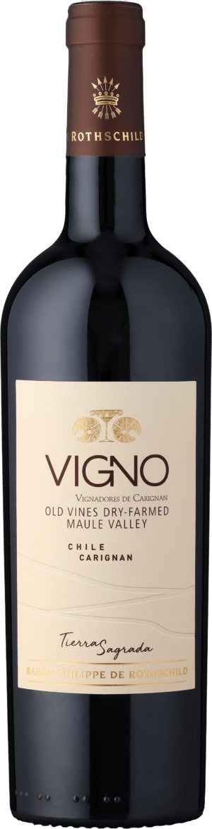 Tierra Sagrada »Vigno« Carignan