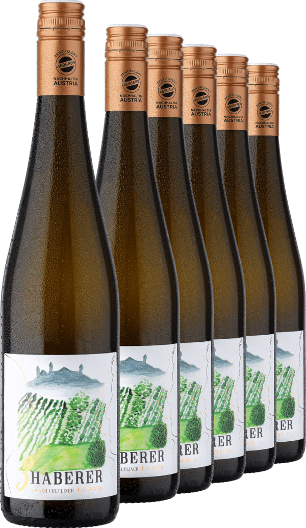 2023 Müller »3 Haberer« Grüner Veltliner im 6er-Vorratspaket